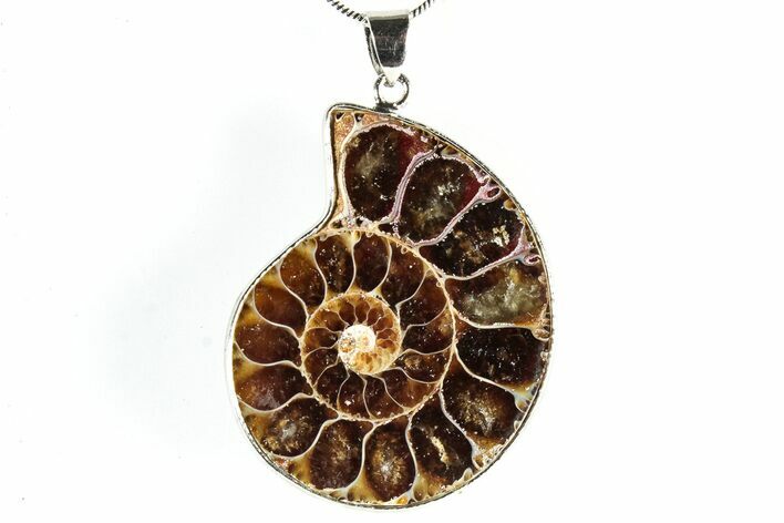 Fossil Ammonite Pendant - Million Years Old #306514